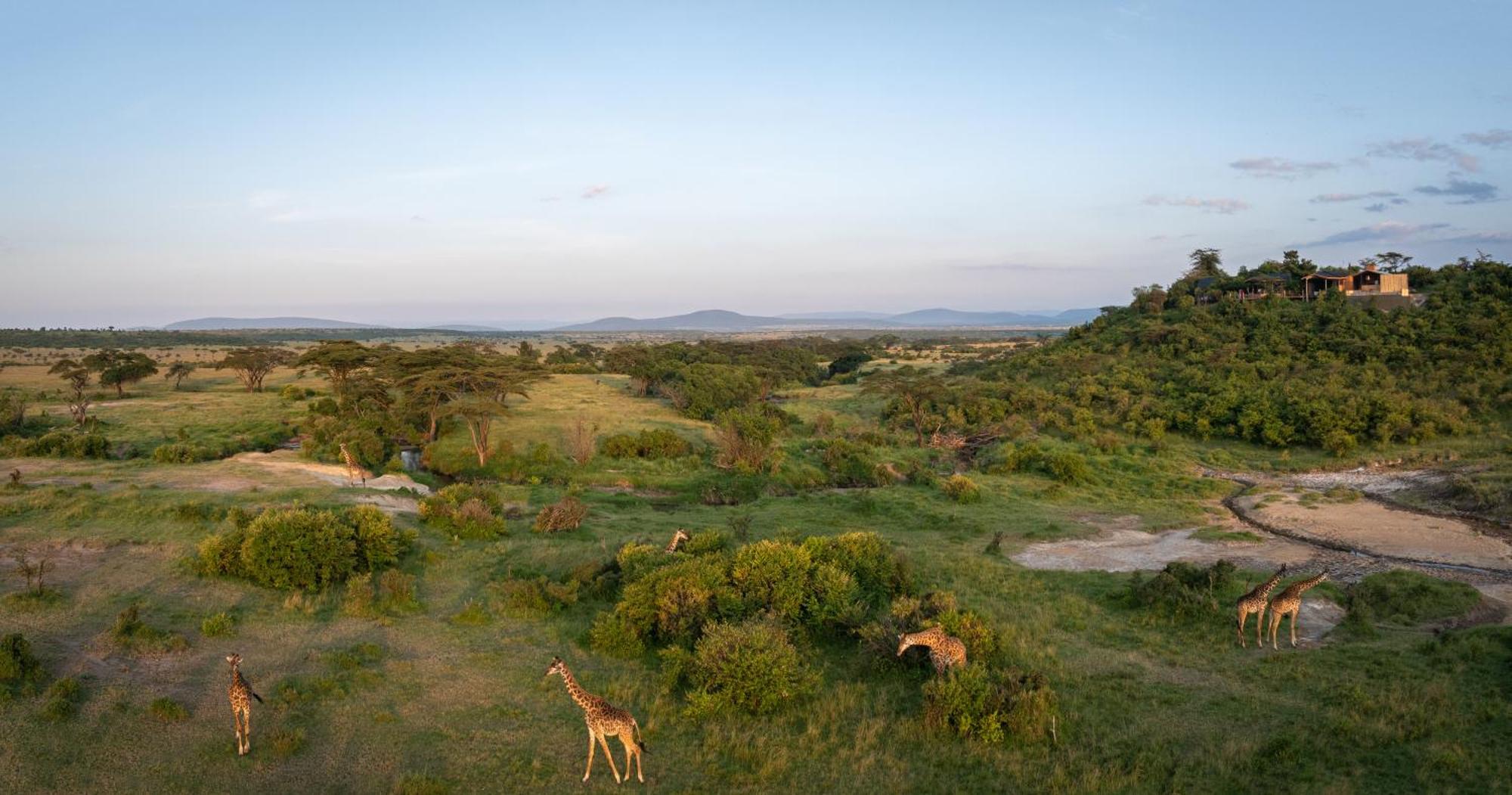 ホテル Saruni Eagle View Naboisho エクステリア 写真