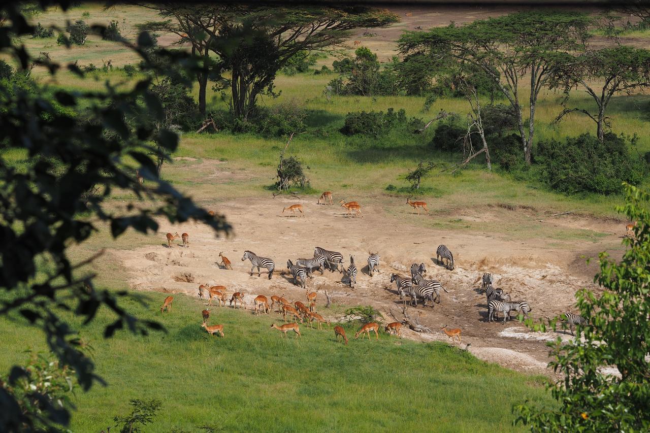 ホテル Saruni Eagle View Naboisho エクステリア 写真